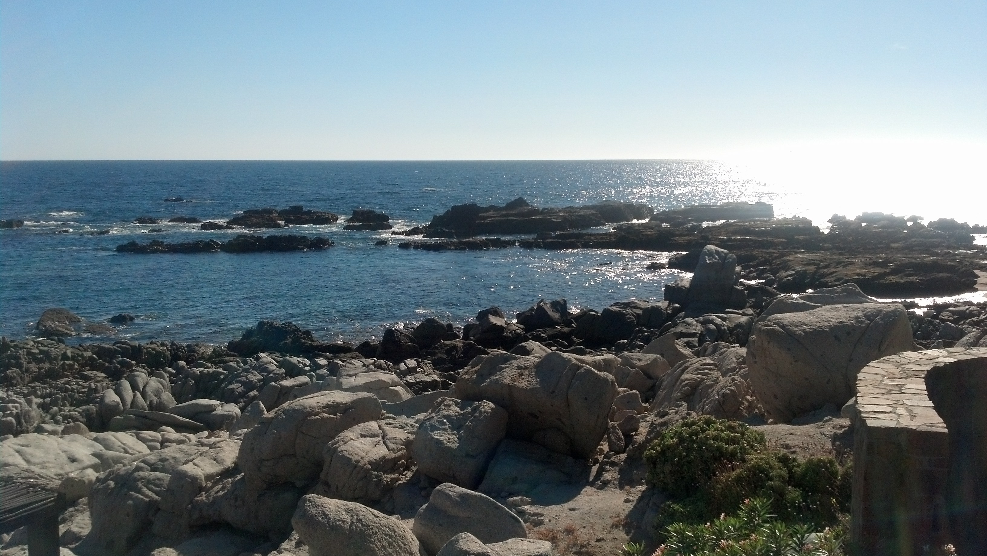 IMG 20140114 152330 198