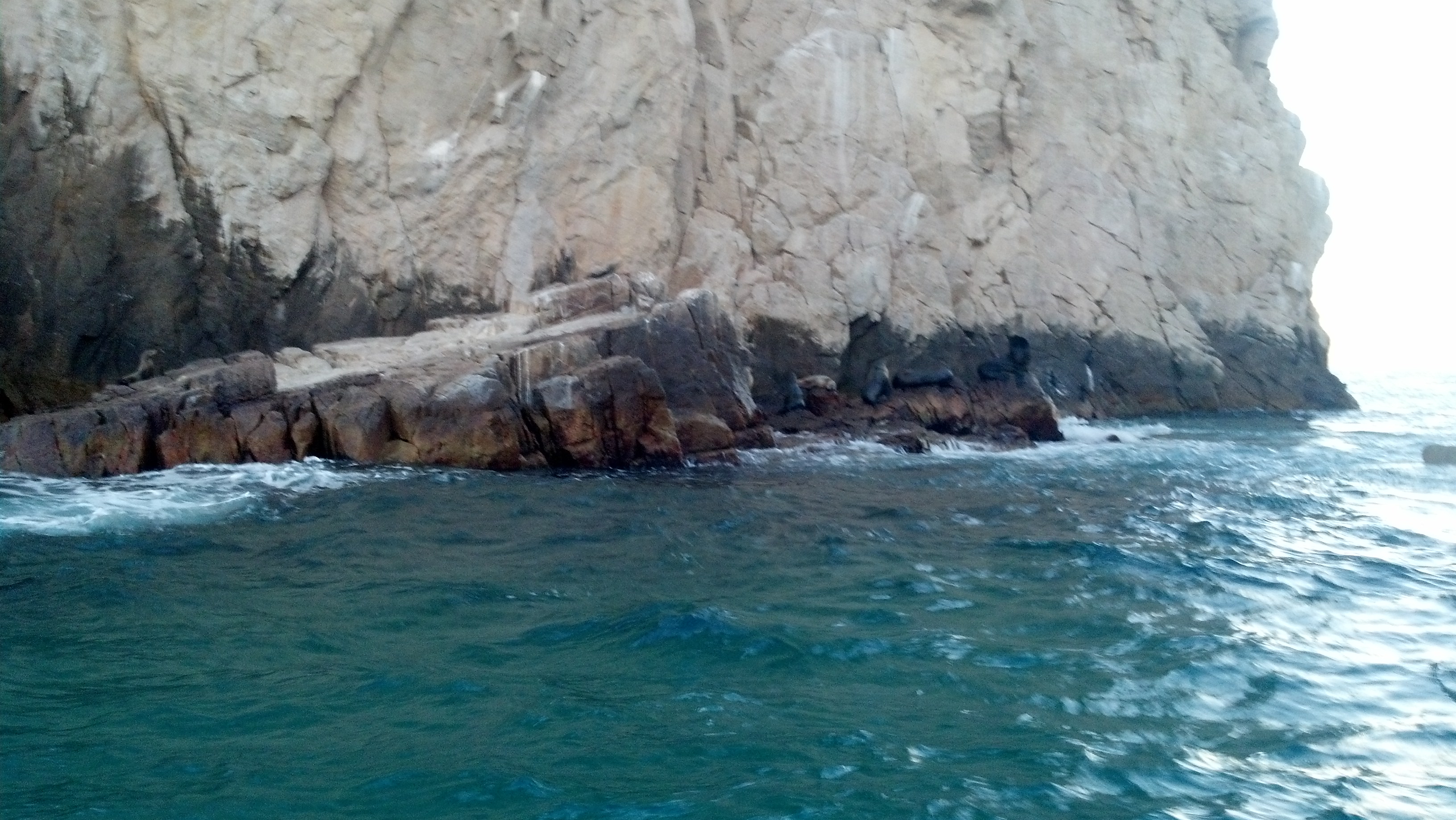 IMG 20140115 070329 790