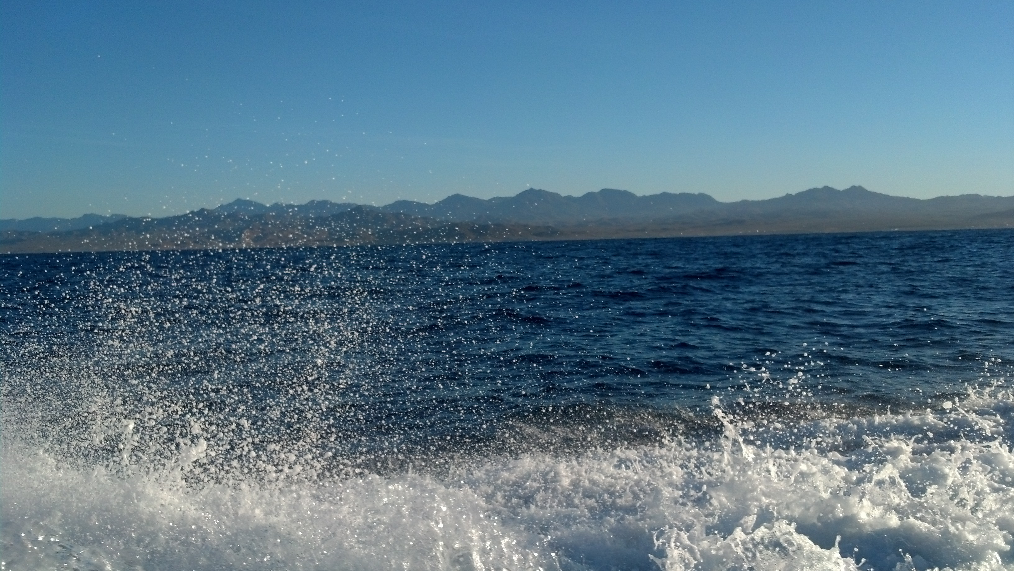 IMG 20140115 075309 030