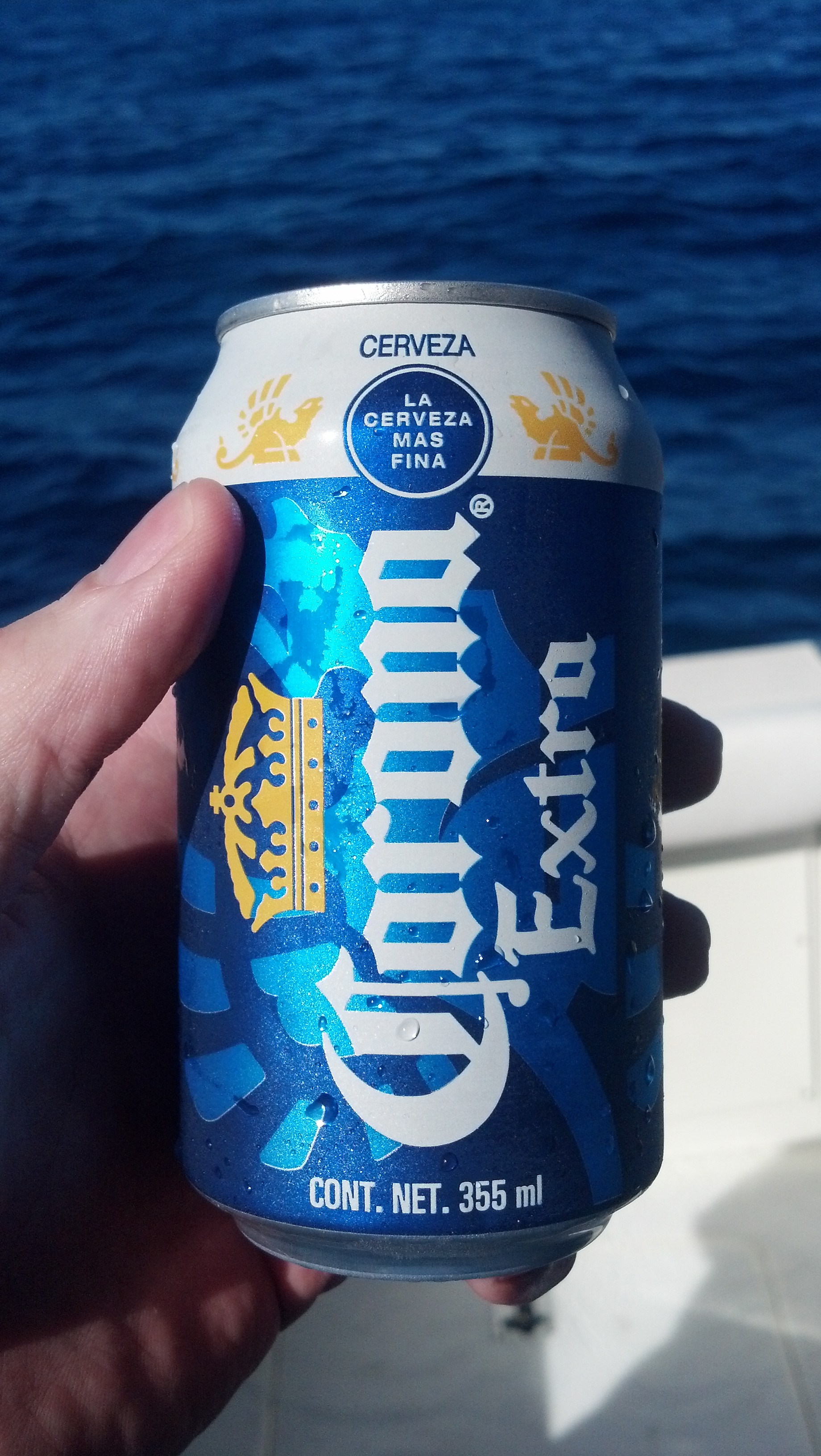 IMG 20140115 100917 495