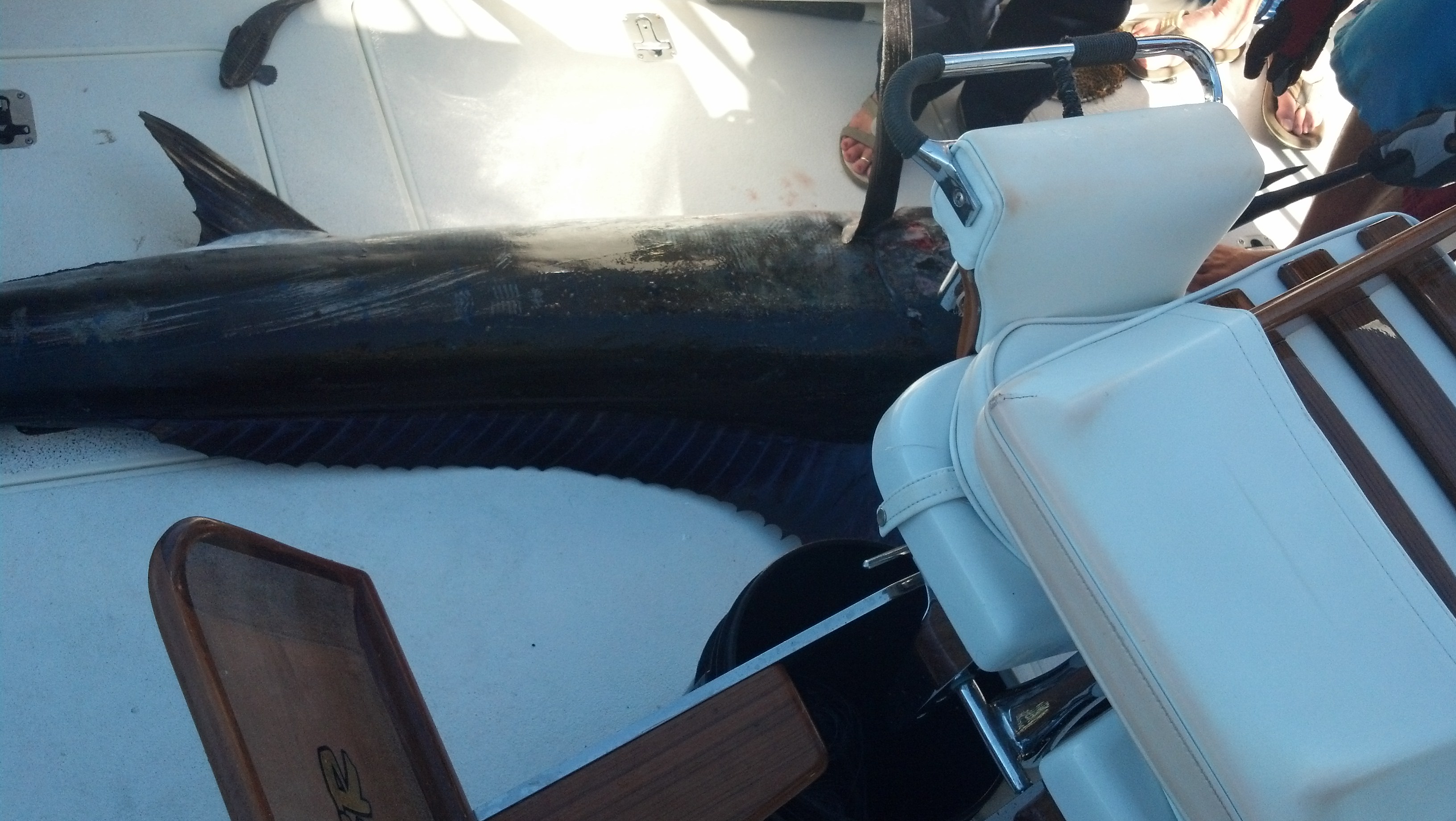 IMG 20140115 112756 429