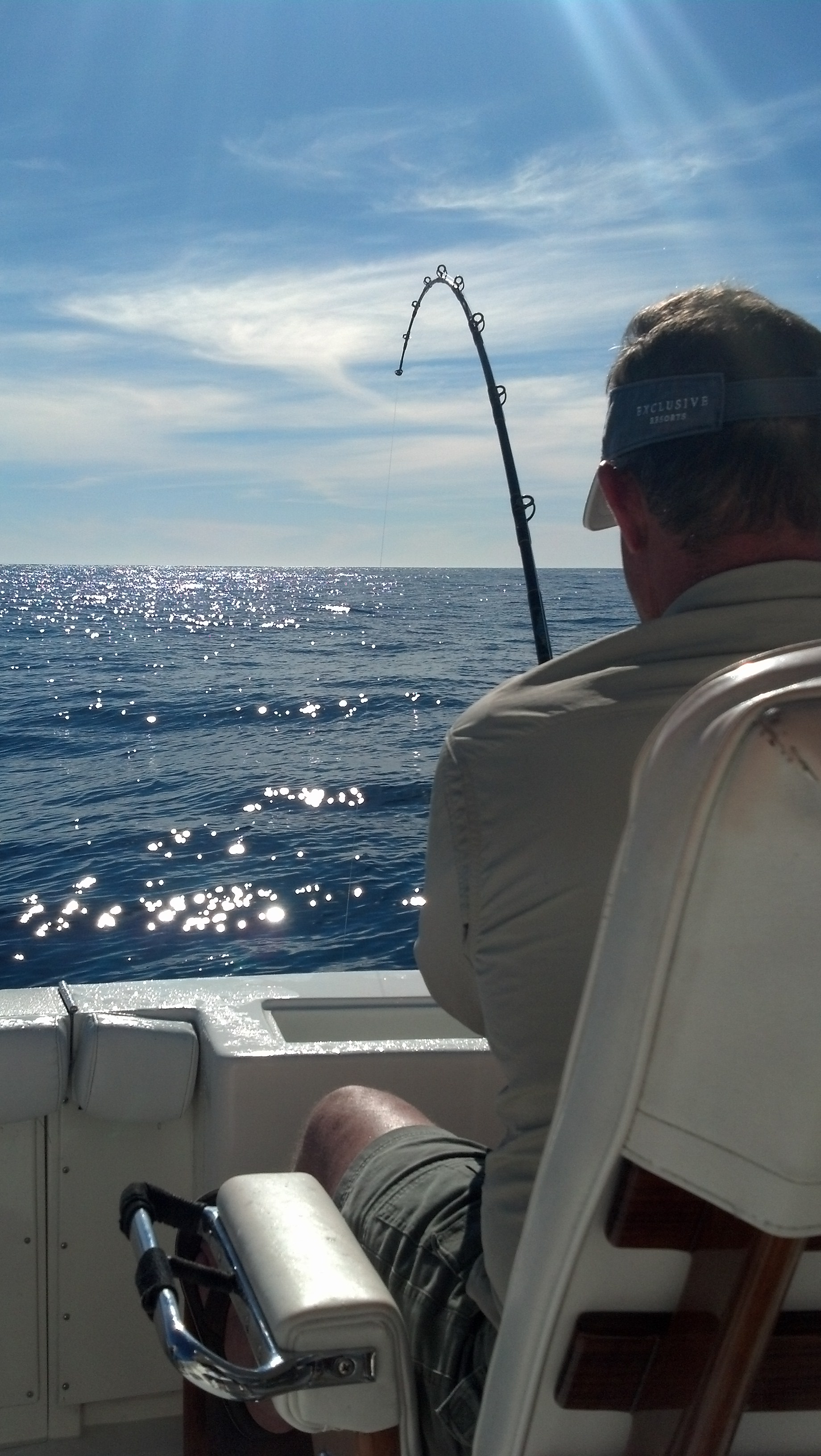 IMG 20140115 144850 276