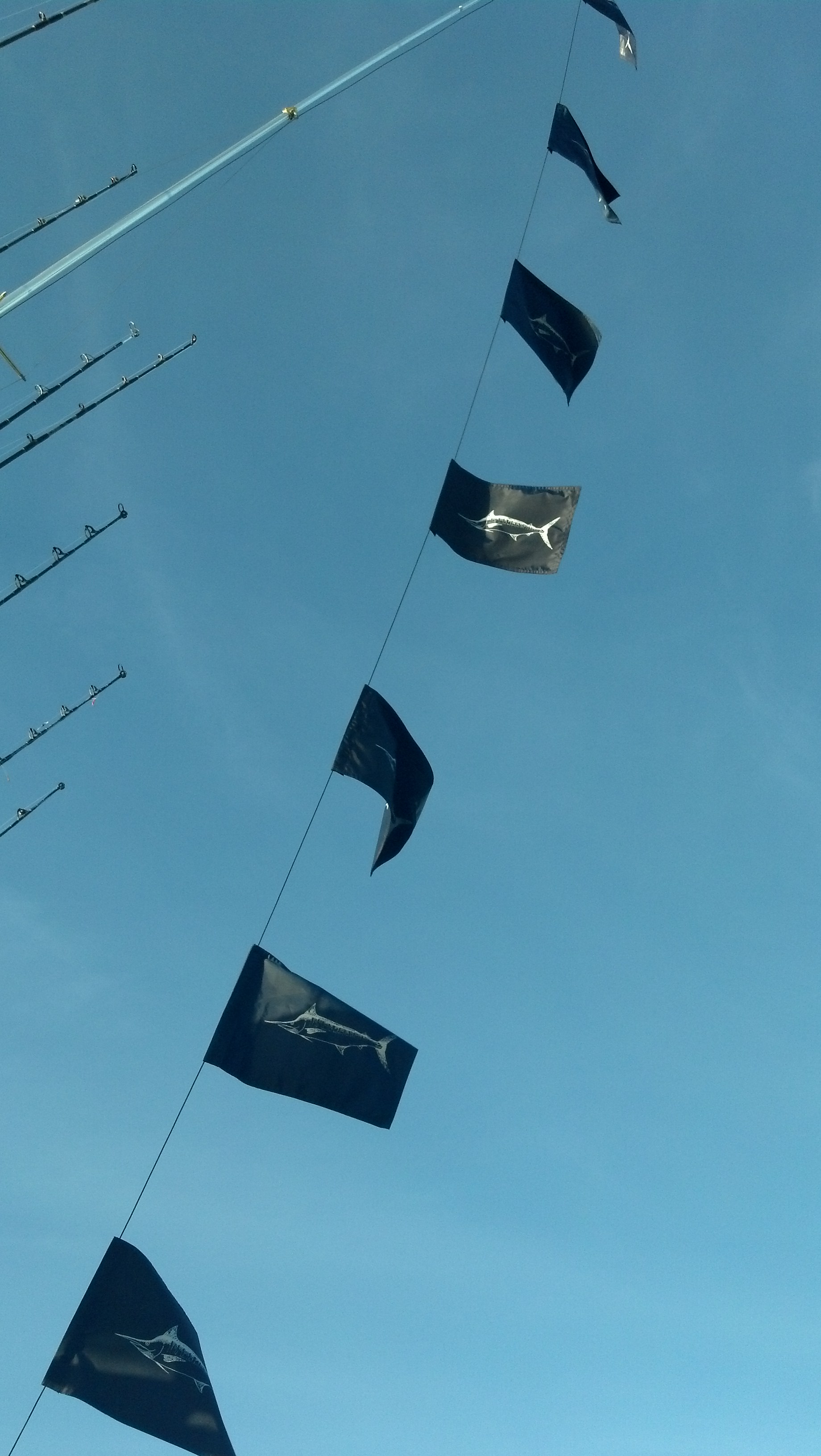 IMG 20140115 165237 354